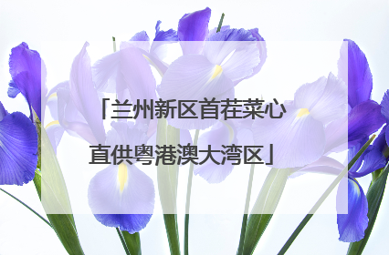 兰州新区首茬菜心直供粤港澳大湾区