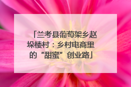 兰考县葡萄架乡赵垛楼村：乡村电商里的“甜蜜”创业路