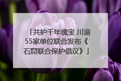 共护千年瑰宝 川渝55家单位联合发布《石窟联合保护倡议》