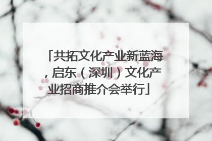 共拓文化产业新蓝海，启东（深圳）文化产业招商推介会举行