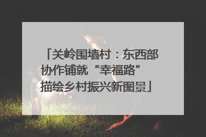 关岭围墙村：东西部协作铺就“幸福路” 描绘乡村振兴新图景