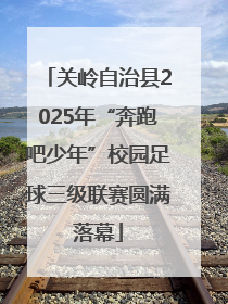 关岭自治县2025年“奔跑吧少年”校园足球三级联赛圆满落幕