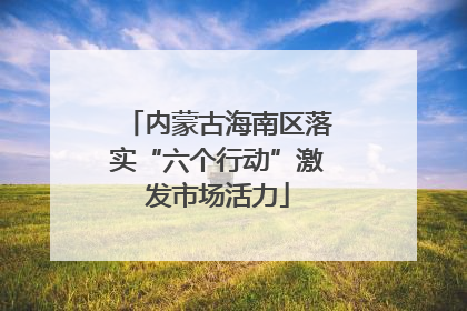 内蒙古海南区落实“六个行动”激发市场活力