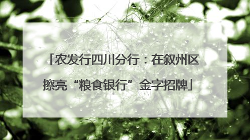 农发行四川分行：在叙州区擦亮“粮食银行”金字招牌