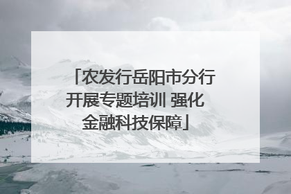 农发行岳阳市分行开展专题培训 强化金融科技保障