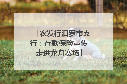 农发行汨罗市支行：存款保险宣传走进龙舟赛场