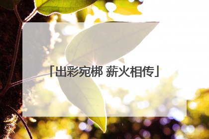 出彩宛梆 薪火相传