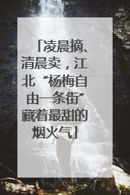 凌晨摘、清晨卖，江北“杨梅自由一条街”藏着最甜的烟火气