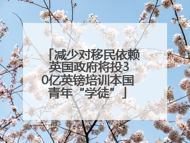 减少对移民依赖 英国政府将投30亿英镑培训本国青年“学徒”