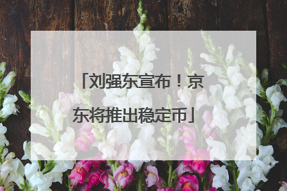 刘强东宣布！京东将推出稳定币