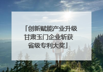 创新赋能产业升级 甘肃玉门企业斩获省级专利大奖