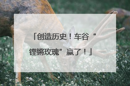 创造历史！车谷“铿锵玫瑰”赢了！