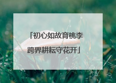 初心如故育桃李 跨界耕耘守花开