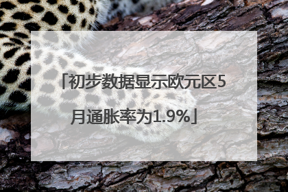 初步数据显示欧元区5月通胀率为1.9%
