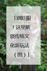 别眨眼！这里解锁传统文化新玩法（图）