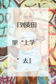 到麦田里“上学”去