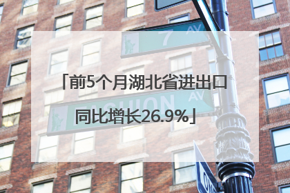 前5个月湖北省进出口同比增长26.9%