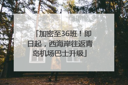 加密至36班！即日起，西海岸往返青岛机场巴士升级