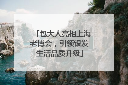 包大人亮相上海老博会，引领银发生活品质升级