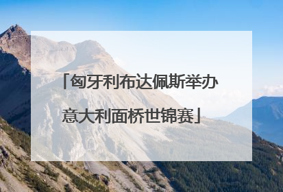 匈牙利布达佩斯举办意大利面桥世锦赛