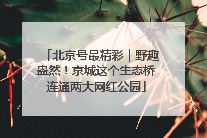 北京号最精彩｜野趣盎然！京城这个生态桥连通两大网红公园