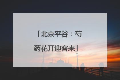 北京平谷：芍药花开迎客来