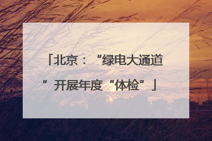 北京：“绿电大通道”开展年度“体检”