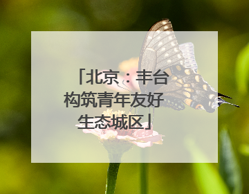 北京：丰台构筑青年友好生态城区