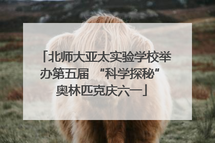 北师大亚太实验学校举办第五届 “科学探秘” 奥林匹克庆六一