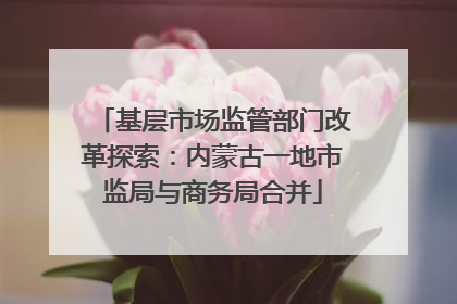 基层市场监管部门改革探索：内蒙古一地市监局与商务局合并