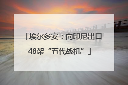 埃尔多安：向印尼出口48架“五代战机”