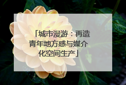 城市漫游：再造青年地方感与媒介化空间生产