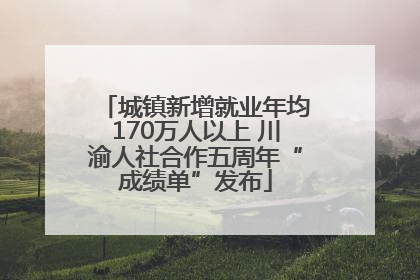 城镇新增就业年均170万人以上 川渝人社合作五周年“成绩单”发布