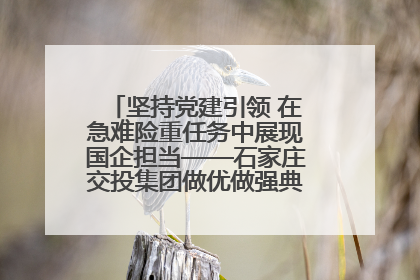 坚持党建引领 在急难险重任务中展现国企担当——石家庄交投集团做优做强典型报道之一