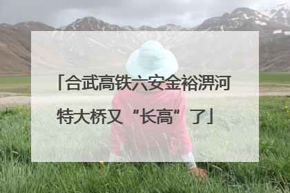 合武高铁六安金裕淠河特大桥又“长高”了