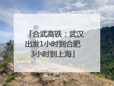 合武高铁：武汉出发1小时到合肥3小时到上海