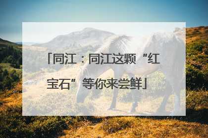同江：同江这颗“红宝石”等你来尝鲜