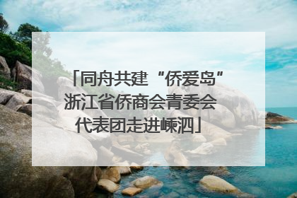 同舟共建“侨爱岛” 浙江省侨商会青委会代表团走进嵊泗