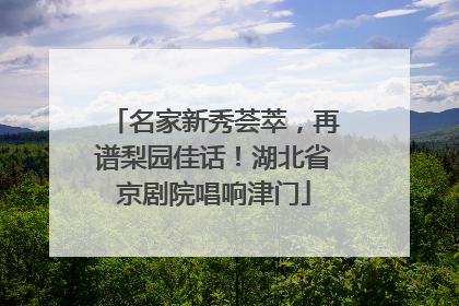 名家新秀荟萃，再谱梨园佳话！湖北省京剧院唱响津门