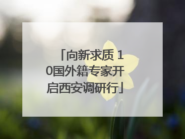 向新求质 10国外籍专家开启西安调研行