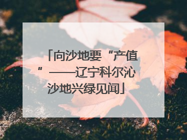 向沙地要“产值”——辽宁科尔沁沙地兴绿见闻