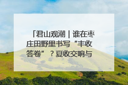 君山观潮｜谁在枣庄田野里书写“丰收答卷”？夏收交响与特色产业，共绘乡村振兴新图景