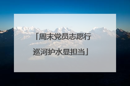 周末党员志愿行 巡河护水显担当