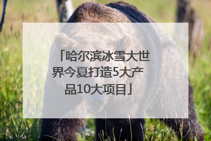 哈尔滨冰雪大世界今夏打造5大产品10大项目