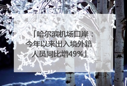 哈尔滨机场口岸：今年以来出入境外籍人员同比增49%