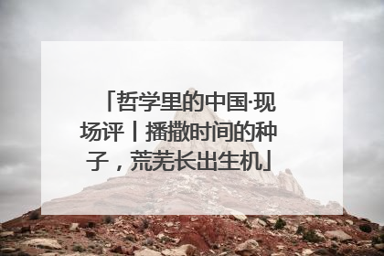 哲学里的中国·现场评丨播撒时间的种子，荒芜长出生机