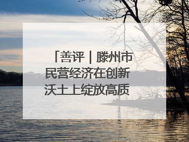 善评｜滕州市民营经济在创新沃土上绽放高质量发展之花