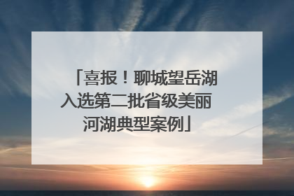 喜报！聊城望岳湖入选第二批省级美丽河湖典型案例