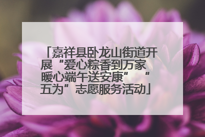 嘉祥县卧龙山街道开展“爱心粽香到万家 暖心端午送安康” “五为”志愿服务活动