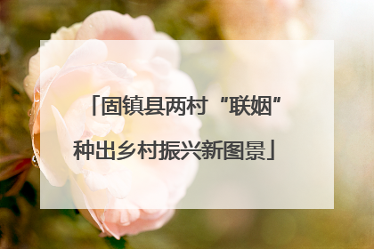 固镇县两村“联姻”种出乡村振兴新图景